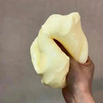 Cheese Fidget Squishy Toy